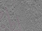 key visualization for L1_P2_ts_010