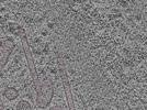 key visualization for L1_P2_ts_010