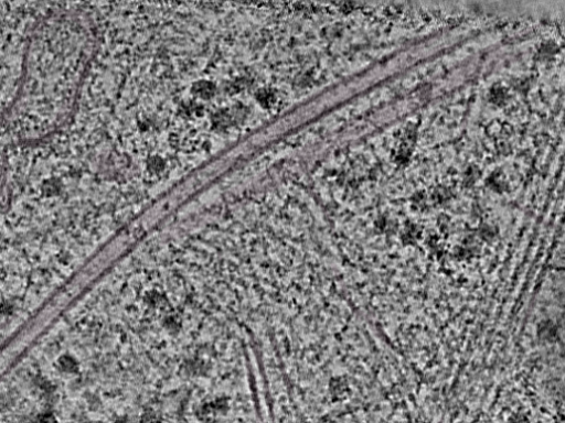key visualization for L3_P1_ts_016