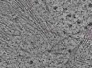 key visualization for L1_ts_003
