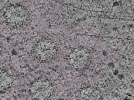 key visualization for L1_ts_004