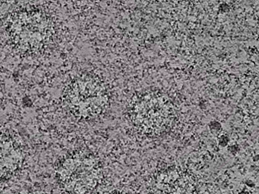 key visualization for L1_ts_004