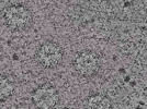 key visualization for L1_ts_004
