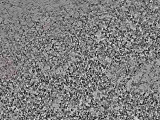 key visualization for L1_ts_005
