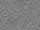 key visualization for L1_ts_006