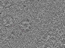 key visualization for L1_ts_006