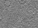 key visualization for L1_ts_007
