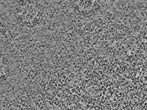 key visualization for L1_ts_007