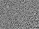 key visualization for L1_ts_007