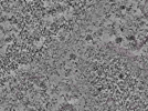 key visualization for L1_ts_009