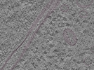 key visualization for L1_ts_010