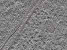 key visualization for L1_ts_010