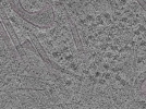 key visualization for L1_ts_014