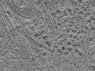 key visualization for L1_ts_014