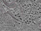 key visualization for L1_ts_014