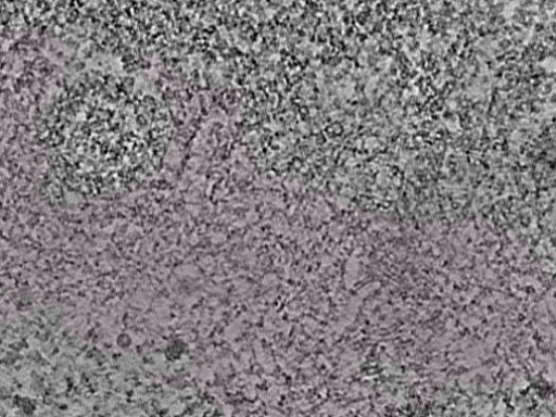 key visualization for L2_ts_002