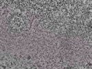 key visualization for L2_ts_002