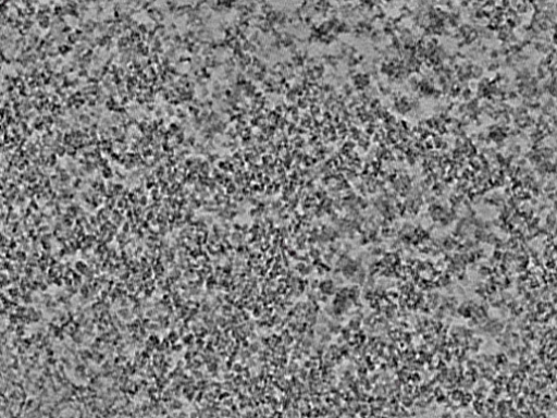key visualization for L2_ts_004