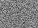 key visualization for L2_ts_004