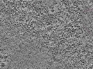 key visualization for L2_ts_005