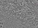key visualization for L2_ts_005