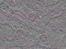 key visualization for L2_ts_010
