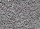key visualization for L2_ts_010