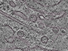 key visualization for L2_ts_010