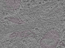 key visualization for L2_ts_011