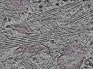 key visualization for L2_ts_011