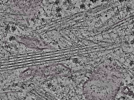 key visualization for L2_ts_011
