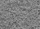 key visualization for L2_ts_013