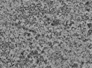 key visualization for L2_ts_013