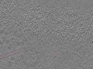 key visualization for L10_ts_005