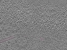 key visualization for L10_ts_005