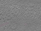 key visualization for L10_ts_005