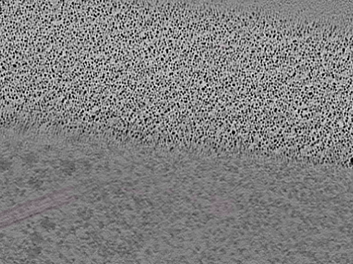 key visualization for L10_ts_005