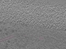 key visualization for L10_ts_005