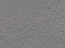 key visualization for L10_ts_006