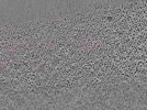 key visualization for L10_ts_006