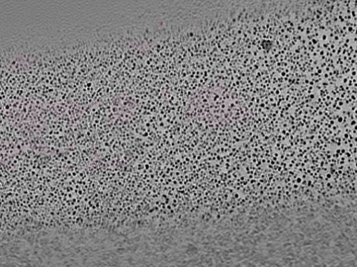 key visualization for L10_ts_006