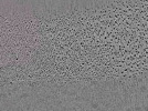 key visualization for L10_ts_008