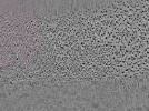 key visualization for L10_ts_008