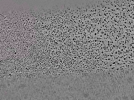 key visualization for L10_ts_008