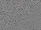 key visualization for L10_ts_009