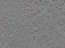key visualization for L10_ts_009