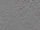 key visualization for L10_ts_009