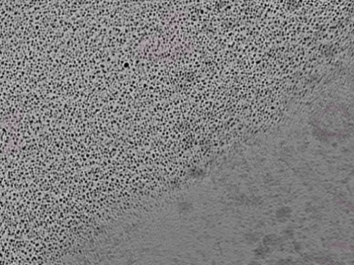 key visualization for L10_ts_009