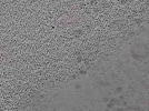 key visualization for L10_ts_009