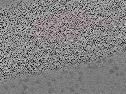 key visualization for L10_ts_010